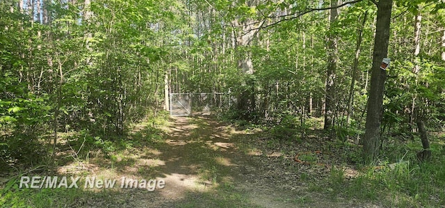 2351 S 10 Mile Rd, Breckenridge, MI 48615