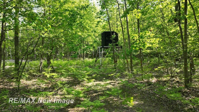 2351 S 10 Mile Rd, Breckenridge, MI 48615