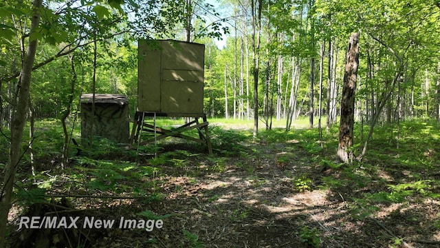 2351 S 10 Mile Rd, Breckenridge, MI 48615