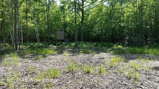2351 S 10 Mile Rd, Breckenridge, MI 48615