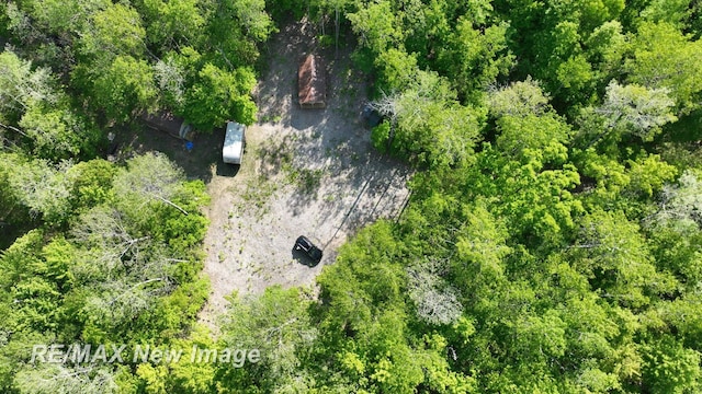 2351 S 10 Mile Rd, Breckenridge, MI 48615