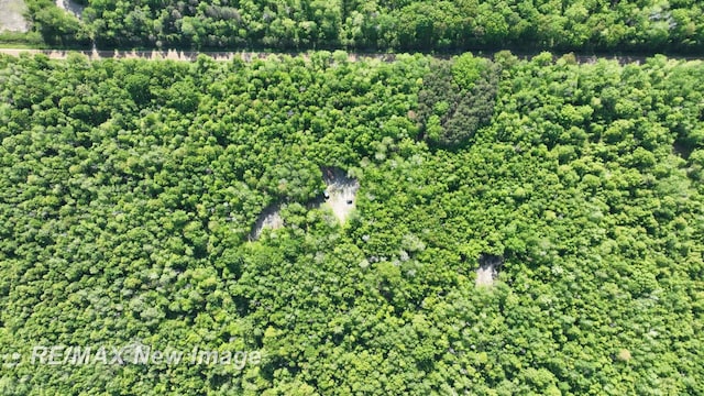 2351 S 10 Mile Rd, Breckenridge, MI 48615