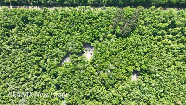 2351 S 10 Mile Rd, Breckenridge, MI 48615