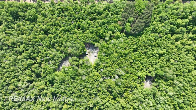 2351 S 10 Mile Rd, Breckenridge, MI 48615
