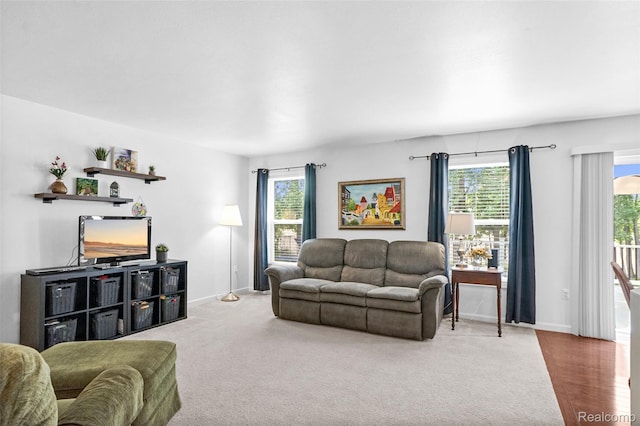 1029 Primrose Ln, Milan, MI 48160 - living room with baseboards and carpet