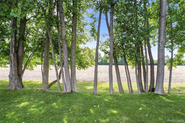 1029 Primrose Ln, Milan, MI 48160 - water view