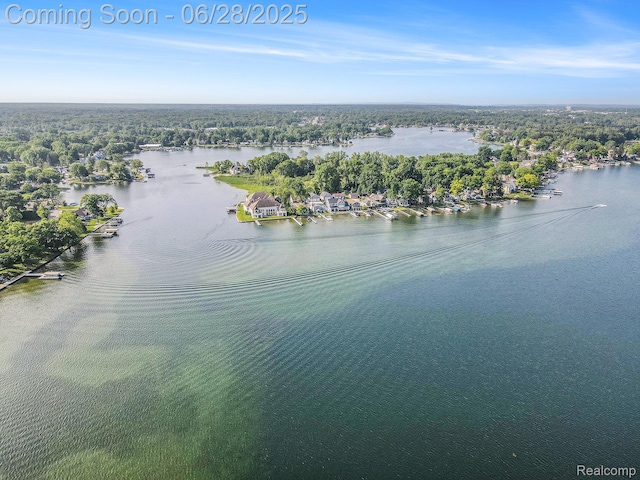 13123 Log Cabin Pt, Fenton, MI 48430 - drone / aerial view of a nearby body of water