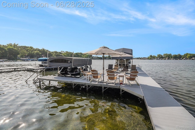 13123 Log Cabin Pt, Fenton, MI 48430 - dock area with boat lift and a water view