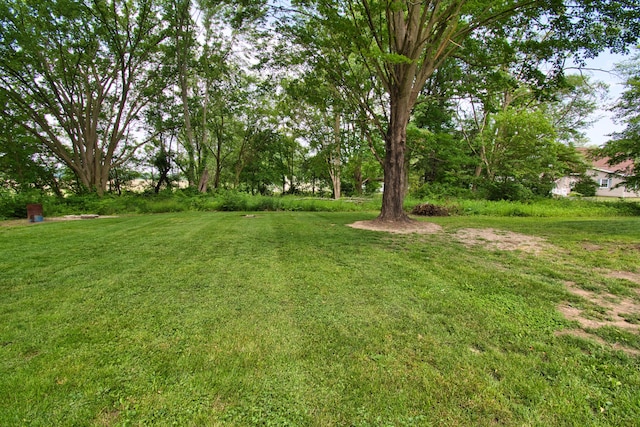 8974 M-140, Berrien Center, MI 49102 - view of grassy yard
