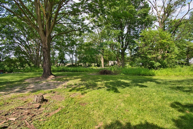 8974 M-140, Berrien Center, MI 49102 - view of green lawn