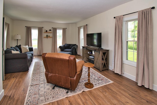 8974 M-140, Berrien Center, MI 49102 - living area featuring wood finished floors