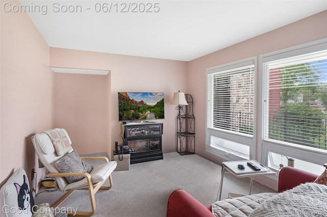 4345 Crooks Rd Unit 24, Royal Oak, MI 48073 - living area with carpet flooring