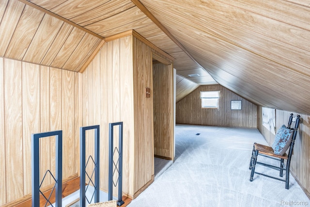 20470 Colman St S, Clinton Township, MI 48035 - additional living space featuring lofted ceiling, wooden walls, wood ceiling, and carpet
