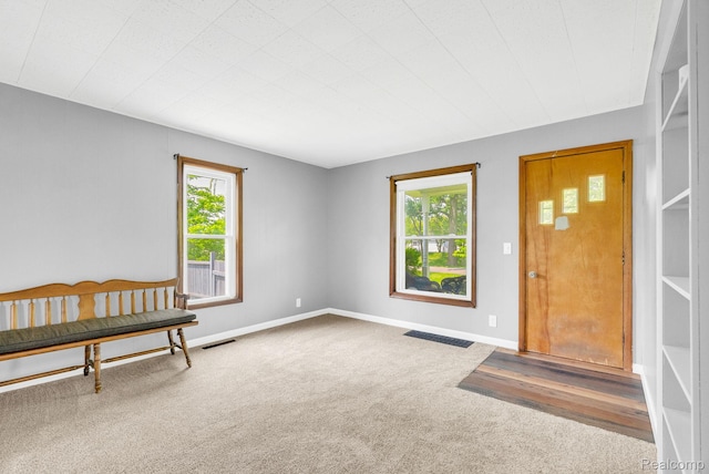 5276 Van Orden Rd, Webberville, MI 48892 - carpeted foyer featuring plenty of natural light and baseboards