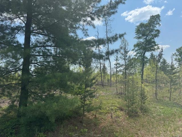 7100 E Cook Ave, Marion, MI 49665