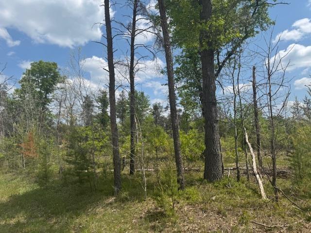 7100 E Cook Ave, Marion, MI 49665