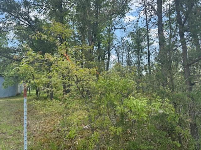 7100 E Cook Ave, Marion, MI 49665