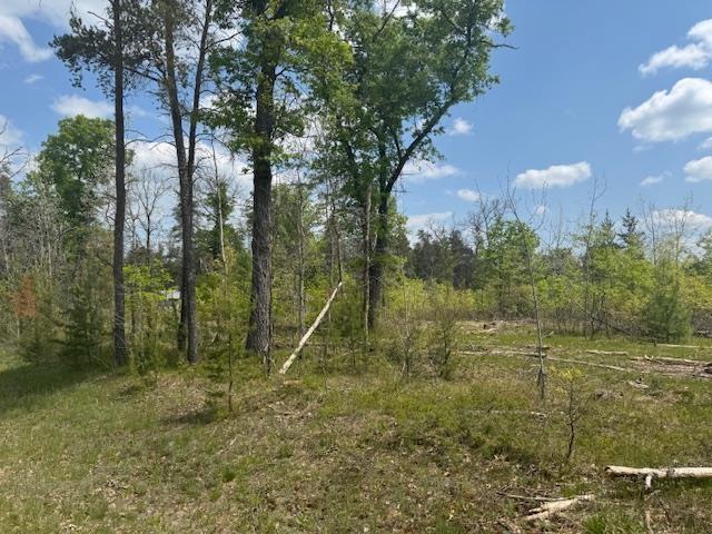 7100 E Cook Ave, Marion, MI 49665
