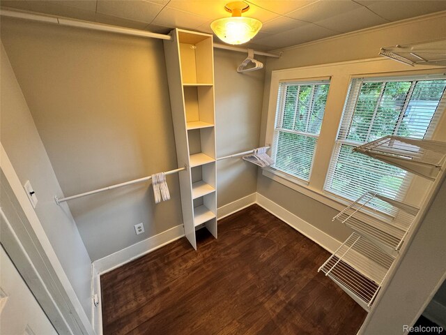 1202 Pershing St, Flint, MI 48503 - spacious closet with dark wood-style flooring
