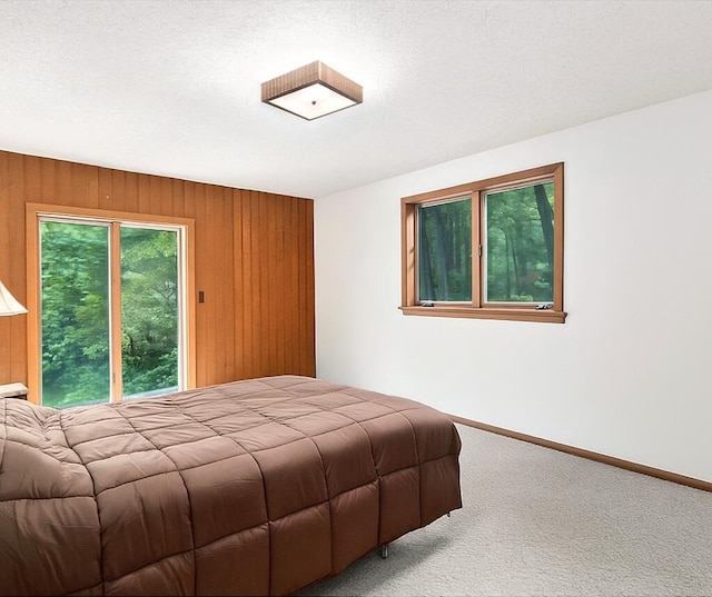 441 N Benson Rd, Fountain, MI 49410 - bedroom featuring carpet, wood walls, and baseboards