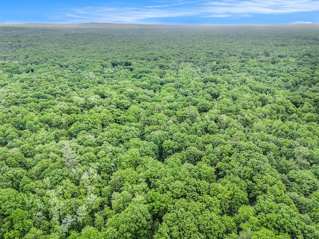 441 N Benson Rd, Fountain, MI 49410 - drone / aerial view of a heavily wooded area