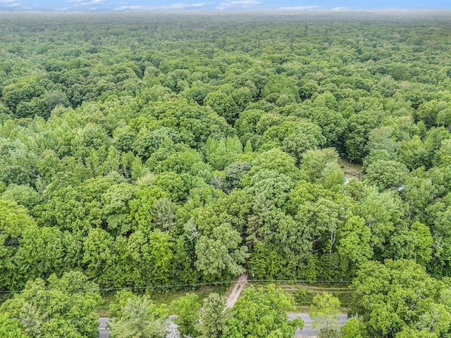 441 N Benson Rd, Fountain, MI 49410 - drone / aerial view of a heavily wooded area