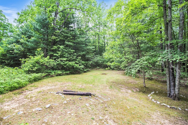 441 N Benson Rd, Fountain, MI 49410 - view of yard featuring a wooded view