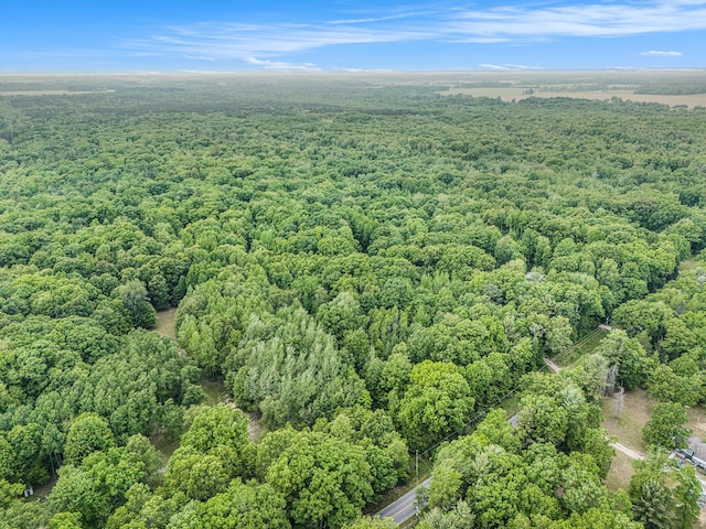 441 N Benson Rd, Fountain, MI 49410 - aerial view of a forest