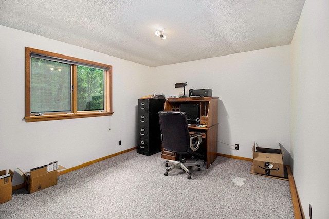 441 N Benson Rd, Fountain, MI 49410 - office area with a textured ceiling, carpet, and baseboards