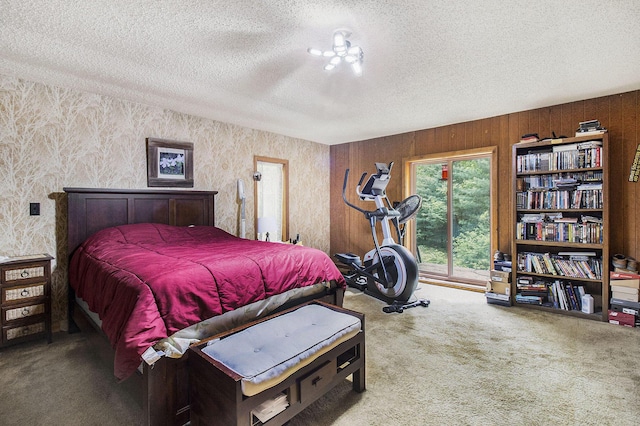 441 N Benson Rd, Fountain, MI 49410 - bedroom with carpet flooring, a textured ceiling, and access to outside