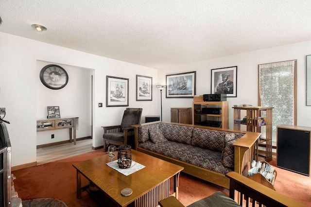 441 N Benson Rd, Fountain, MI 49410 - living area featuring carpet flooring and a textured ceiling