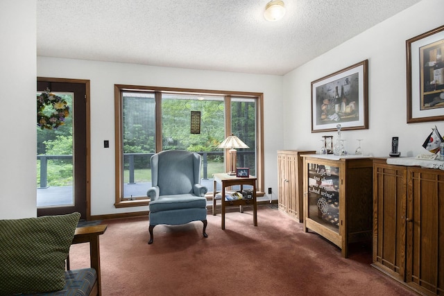 441 N Benson Rd, Fountain, MI 49410 - living area featuring dark carpet, a textured ceiling, and baseboards