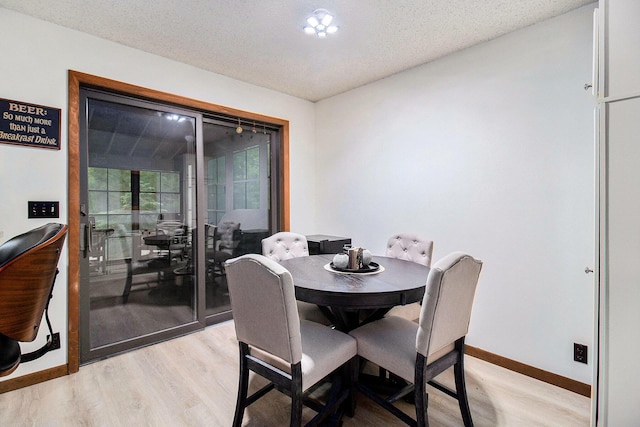 441 N Benson Rd, Fountain, MI 49410 - dining area featuring light wood-style floors, baseboards, and a textured ceiling