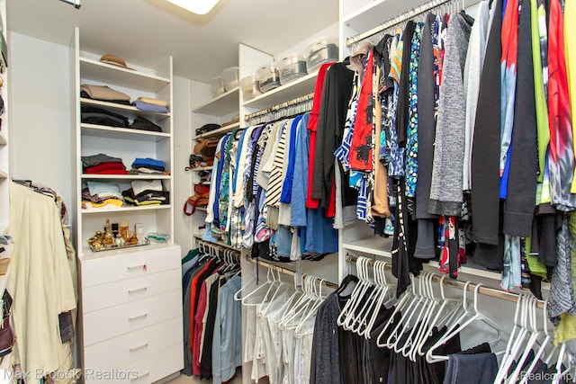 6524 Pleasant Lake Ct, West Bloomfield, MI 48322 - view of walk in closet