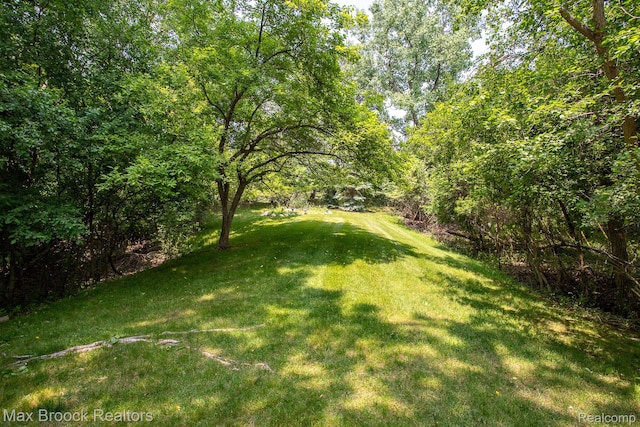 6524 Pleasant Lake Ct, West Bloomfield, MI 48322 - view of green lawn
