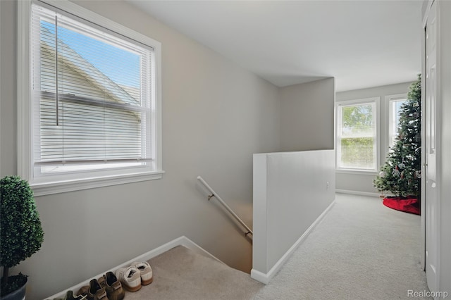 1372 Maryland St, Grosse Pointe, MI 48230 - staircase with carpet flooring and baseboards