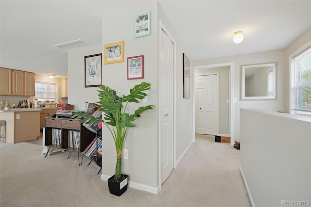 1372 Maryland St, Grosse Pointe, MI 48230 - hall featuring light colored carpet and healthy amount of natural light
