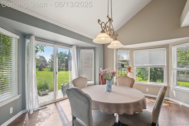 8329 Deer Creek Ct, Grand Blanc, MI 48439 - dining room featuring plenty of natural light, lofted ceiling, wood finished floors, and ornamental molding