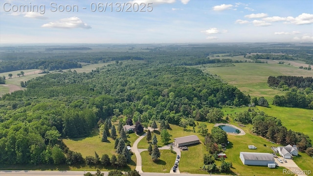 2970 Sand Beach Rd, Bad Axe, MI 48413 - drone / aerial view of a forest
