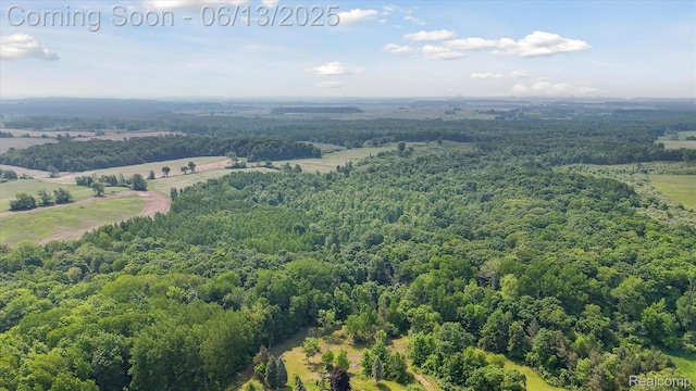 2970 Sand Beach Rd, Bad Axe, MI 48413 - bird's eye view of a forest