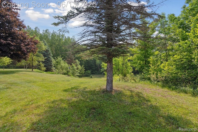 2970 Sand Beach Rd, Bad Axe, MI 48413 - view of grassy yard featuring a forest view