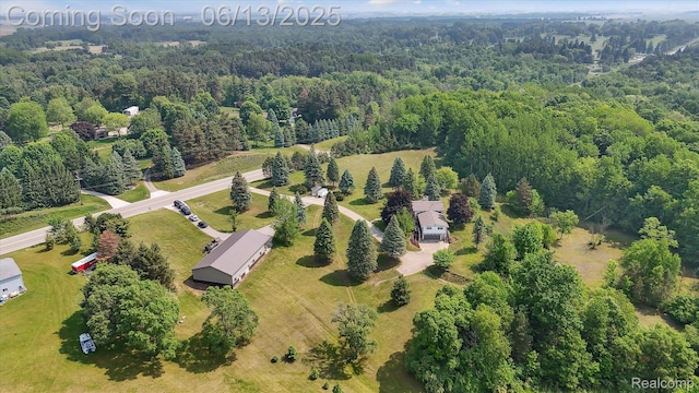2970 Sand Beach Rd, Bad Axe, MI 48413 - bird's eye view of a heavily wooded area