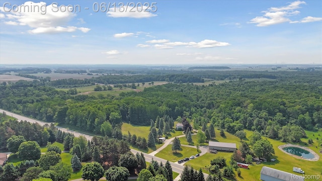 2970 Sand Beach Rd, Bad Axe, MI 48413 - bird's eye view of a forest