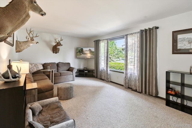 2970 Sand Beach Rd, Bad Axe, MI 48413 - living room with carpet and baseboards