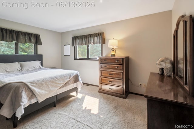 2970 Sand Beach Rd, Bad Axe, MI 48413 - bedroom featuring light carpet and baseboards
