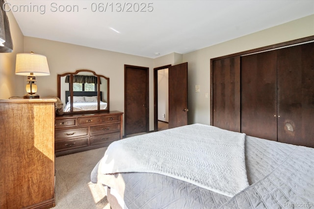 2970 Sand Beach Rd, Bad Axe, MI 48413 - bedroom featuring carpet flooring and a closet