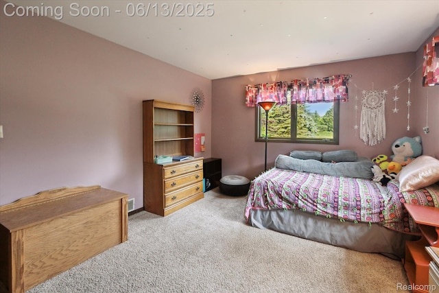 2970 Sand Beach Rd, Bad Axe, MI 48413 - bedroom featuring carpet flooring
