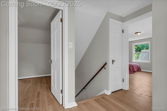16181 Chapel St, Detroit, MI 48219 - photo 19