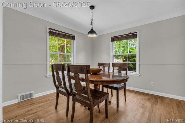 16181 Chapel St, Detroit, MI 48219 - photo 15