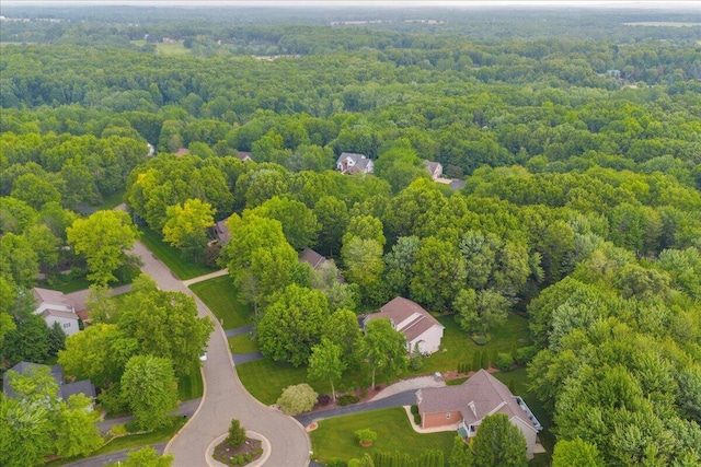 2082 Blackberry Ln, Howell, MI 48855 - aerial view of a heavily wooded area